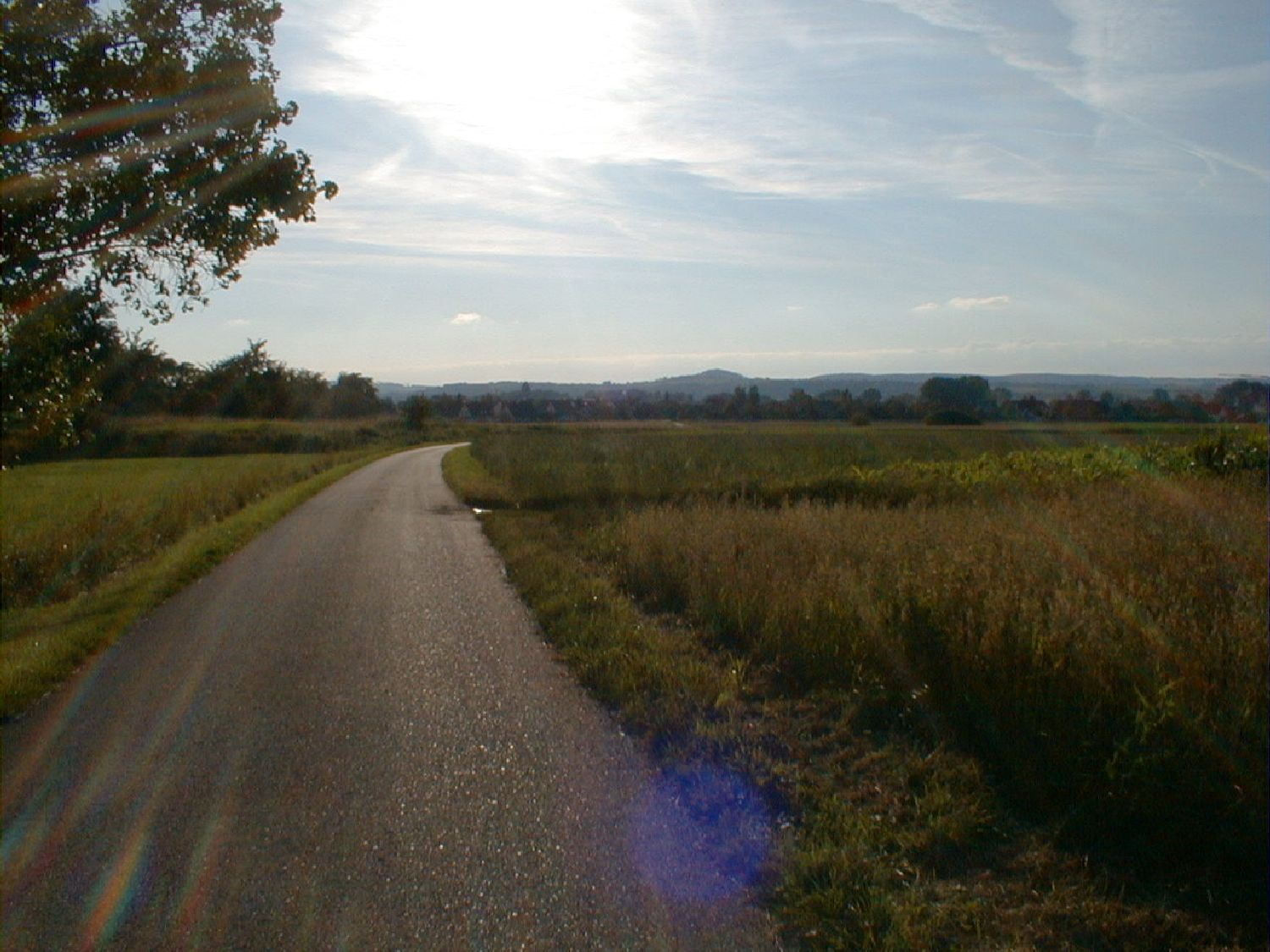Talweg mit Blick auf Kiebingen 2014