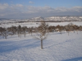 Winterlandschaft