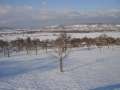 Winterlandschaft