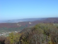 2014