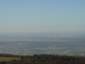 2014