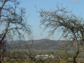 Blick von Kiebinger Panoramaweg auf Wurmlinger Kapelle