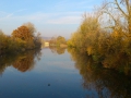 Neckar bei Kiebingen