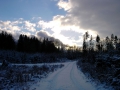 Winterlicher Waldweg