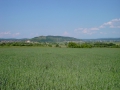 Blick ins Neckartal auf Wurmlinger Kapelle