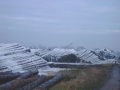 Nassholzlagerung
