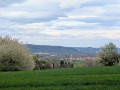 Blick von Rottenburg 2025